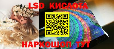 спиды Обь