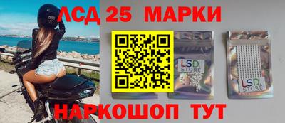 спиды Обь