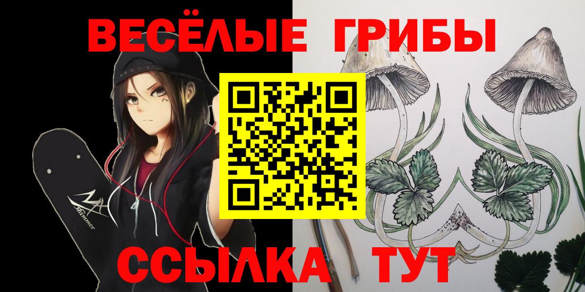 Псилоцибиновые грибы GOLDEN TEACHER  Вход с VPN  Саянск 
